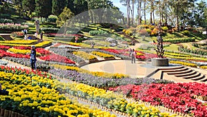 Doi Tung Royal Villa and Mae Fah Luang Garden, Chiang Rai, Thailand.