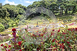 Mae Fah Garden photo