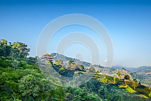 doimaesalong chiangrai thailand