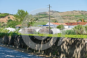 Dois Portos cooperative winery with its installations