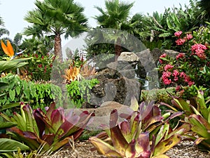 Dole Plantation Garden
