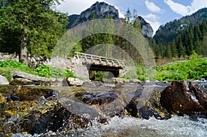 Dolina Koscieliska. Tatransky narodny park. Vysoke Tatry. Poland.