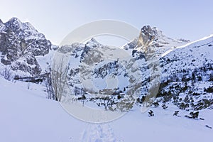 Dolina Zeleného plesa v zime. Tatry. Slovensko