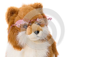 Doll Dog wearing glasses on white background
