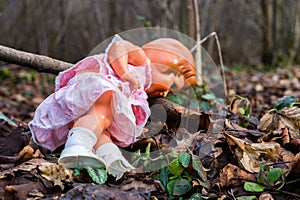 Doll in the forest