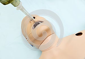 Doll for physician training