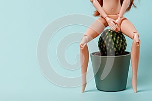 the doll sits on a cactus. Vascular structures in the lower rectum and acute pain concept, blue background with copy space.
