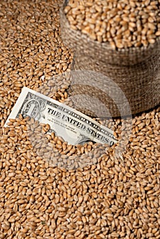 The dollar on the background of Ukrainian wheat. The concept of the global crisis