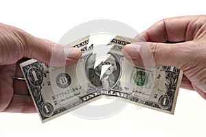 US One Dollar bill being torn in half photo