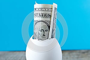 1 dollar bill in an egg shell. On a turquoise background. The co