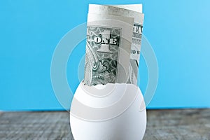 1 dollar bill in an egg shell. On a turquoise background. The co