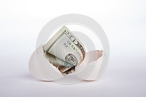 dollar bill hatching from white egg