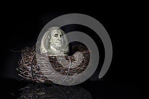 100 Dollar Bill Nest Egg