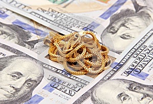 Dollar bills money with gold chain
