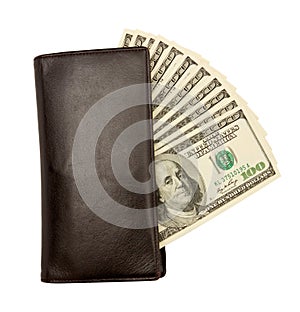 Dollar bills U.S. in leather purse