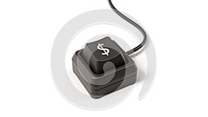 Dollar button of single key computer keyboard, 3D illustration