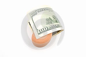 Dollar and chicken egg, on isolated white background
