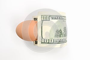 Dollar and chicken egg, on isolated white background