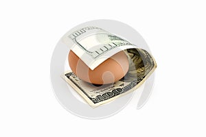 Dollar and chicken egg, on isolated white background