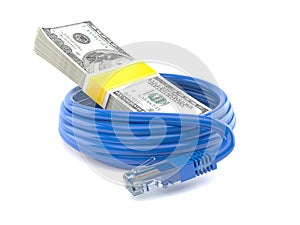 Dollar currency with network cable