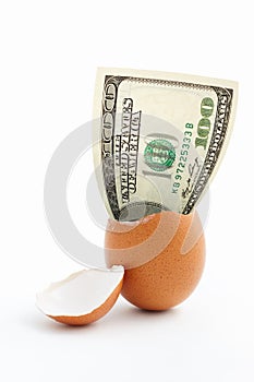 Dollar emerge from egg shell photo