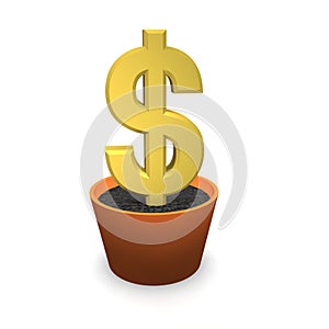 Dollar in flower pot