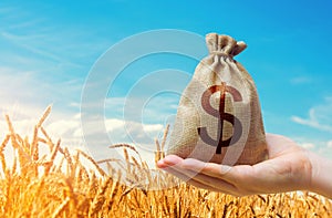 Dollar money bag on the background of wheat ears on a farm field.