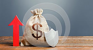 Dollar money bag with a shield and a red arrow up. Increasing the maximum amount of guaranteed insurance compensation for deposits
