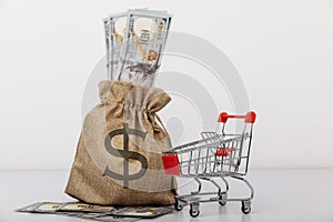 Dollar money bag and a shopping cart isolated on white background. Loans and microloans concept