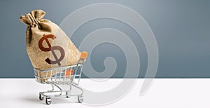 Dollar money bag on a shopping cart. Profits and super profits. Loans and microloans. Minimum living wage. Consumer basket.