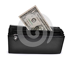 Dollar in purse