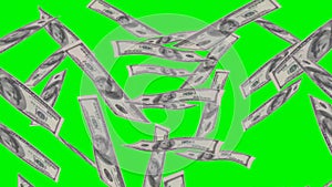 Dollar rain - green screen