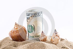 Dollar in sand with shell isolated on white.