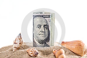 Dollar in sand with shell isolated on white. summer concept