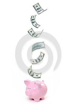 Dollar savings piggy bank photo
