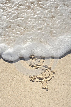 Dollar Sign Drawn in Sand on Beach