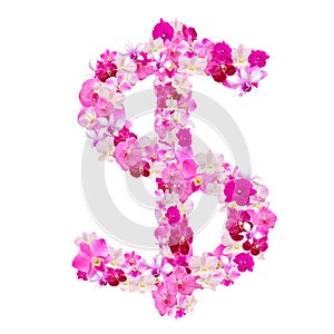 Dollar sign from orchid flowers isolated on white