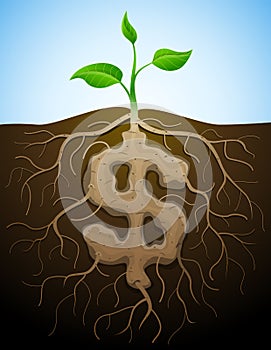 Dollar sign is shown as root of plant