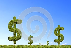 Dollar signs are increasing with blue sky background.