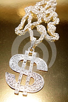 Dollar symbol necklace