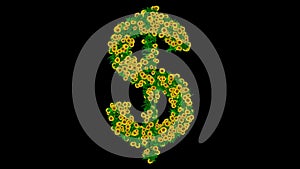 Dollar symbol with yellow daisy flowers and green leaves on plain black background