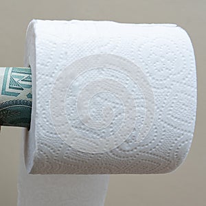 Dollar in toilet paper roll