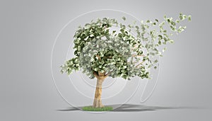Dollar tree with hundred dollar bills on grey 3d illustration