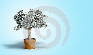 Dollar tree with hundred dollar bills growing out of the pot on blue 3d illustration