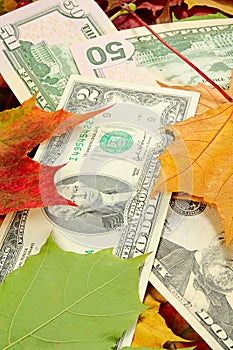 Dollars and autumn leaves