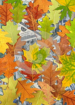 Dollars and autumn leaves