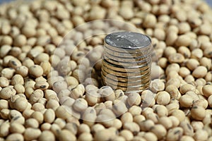 Dollars banknotes and coins and soy beans,