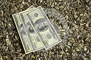 Dollars banknotes and sunflower seeds,