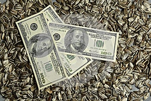 Dollars banknotes and sunflower seeds, oleaginous Commodity