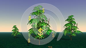 Dollars growing from a tree